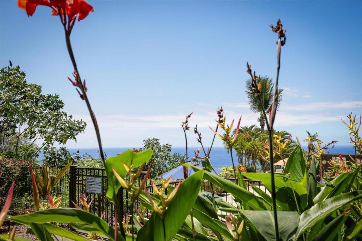 Kona Westwind 1 New! Quiet Ocean-View 1St Floor | Patio | Pool Villa Kailua-Kona Exterior photo